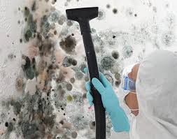 Best Air Quality Testing for Mold Spores  in Sistersville, WV